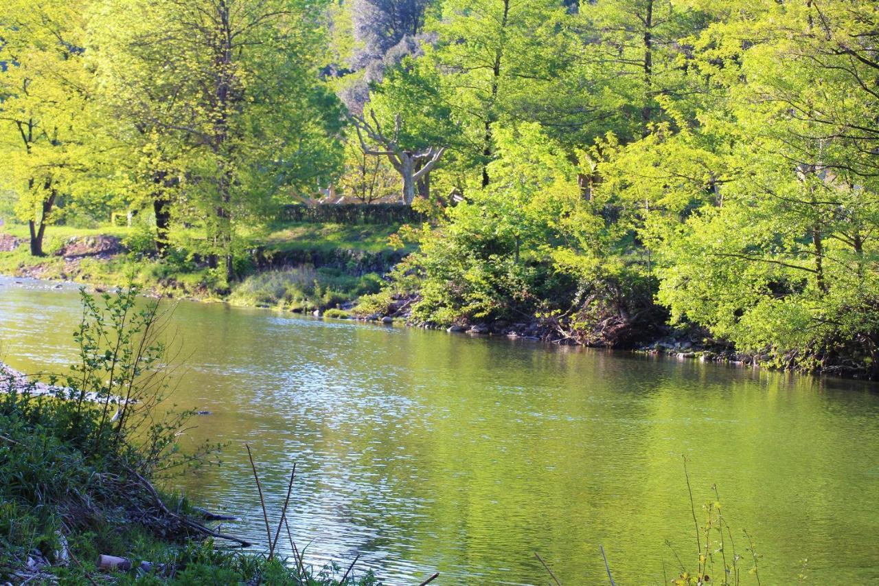 Le Moulin Du Luech Hotel Peyremale Buitenkant foto